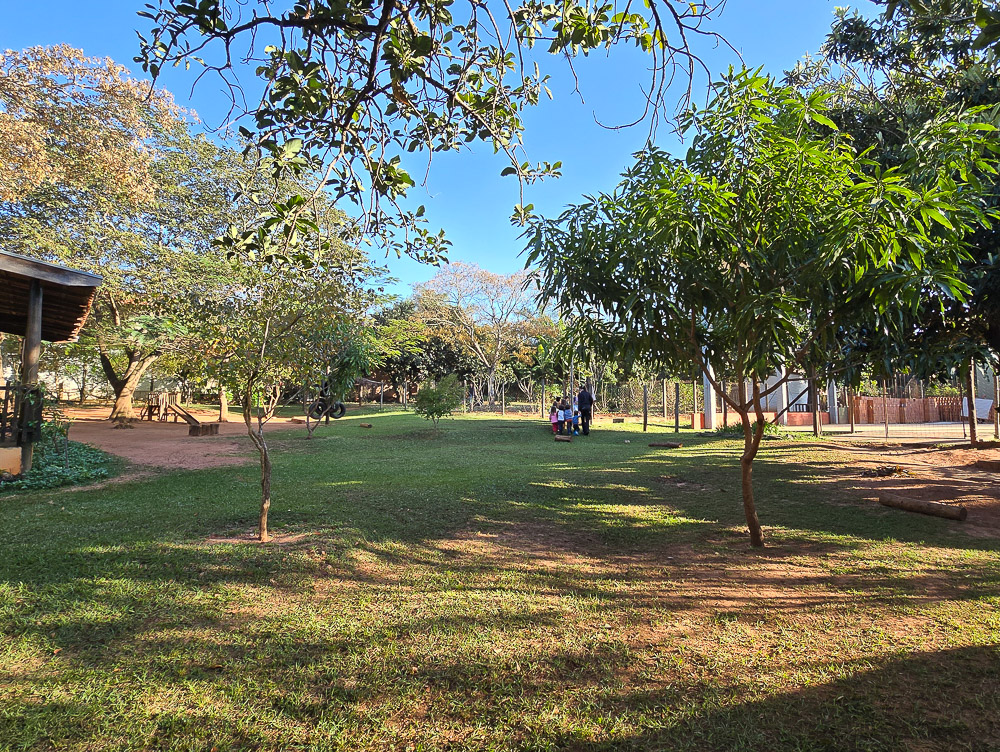 escola flor de lotus-24
