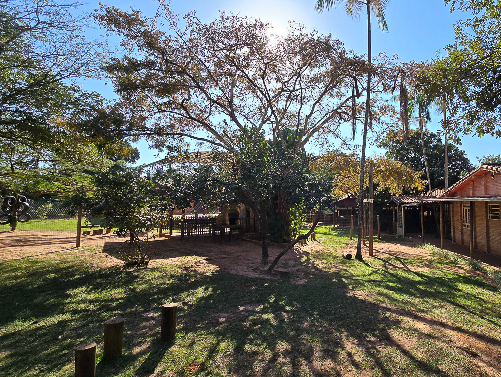 escola flor de lotus-43