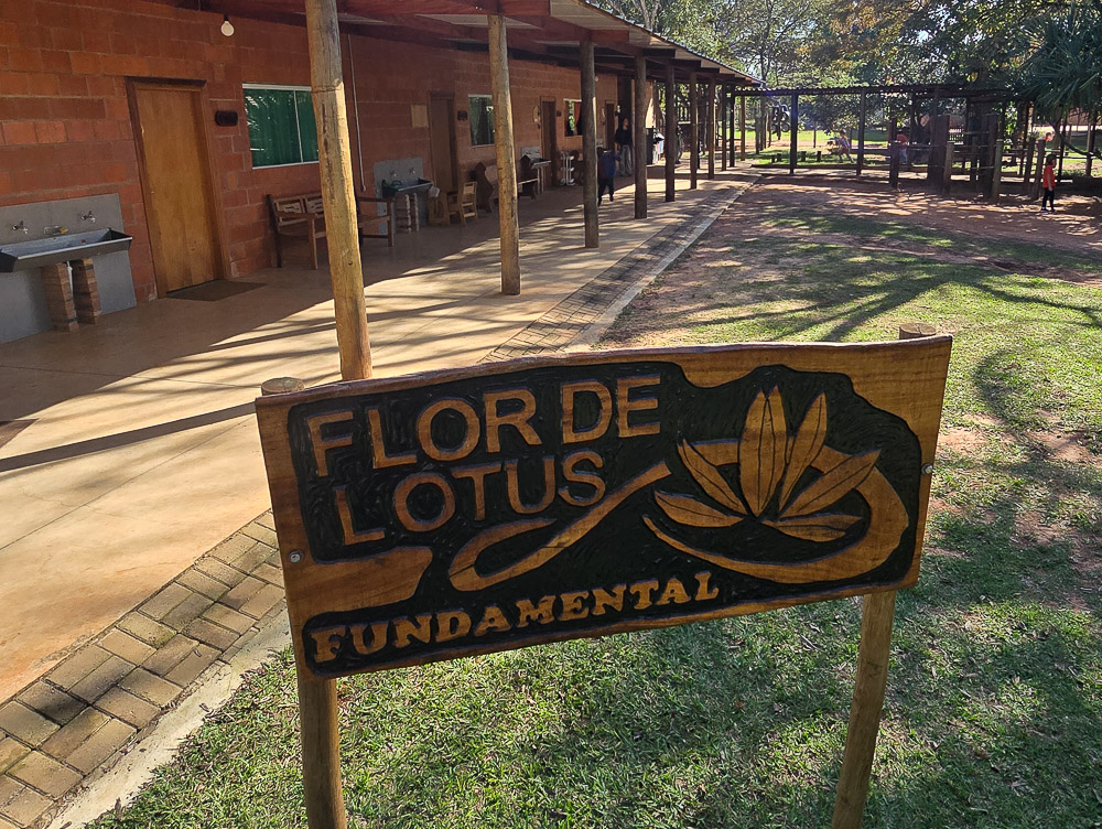 escola flor de lotus-47